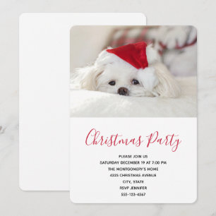 Cute White Dog in een Rode Kerstmis Pet Kaart