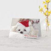 Cute White Dog in een Rode Kerstmis Pet Kaart (Gele Bloem)