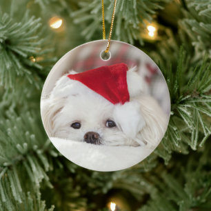 Cute White Dog in een Rode Kerstmis Pet Keramisch Ornament