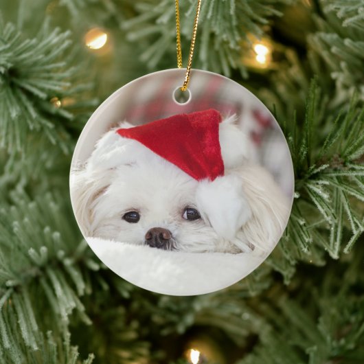 Cute White Dog in een Rode Kerstmis Pet Keramisch Ornament (Boom)