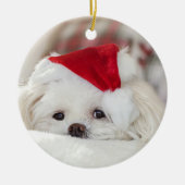 Cute White Dog in een Rode Kerstmis Pet Keramisch Ornament (Voorkant)