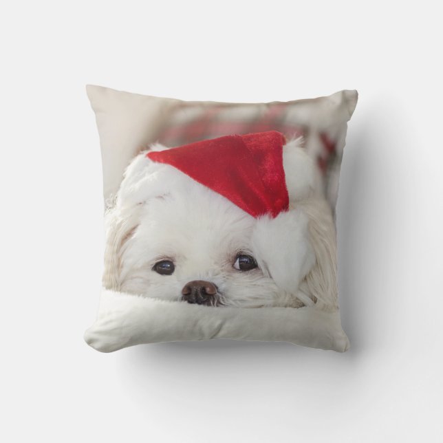 Cute White Dog in een Rode Kerstmis Pet Kussen (Voorkant)