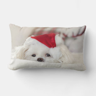 Cute White Dog in een Rode Kerstmis Pet Kussen