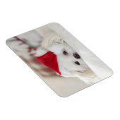 Cute White Dog in een Rode Kerstmis Pet Magneet (Rechterzijde)