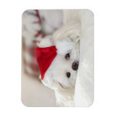 Cute White Dog in een Rode Kerstmis Pet Magneet (Verticaal)