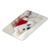Cute White Dog in een Rode Kerstmis Pet Magneet (Linkerzijde)