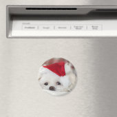 Cute White Dog in een Rode Kerstmis Pet Magneet (Insitu (Vaatwasser))