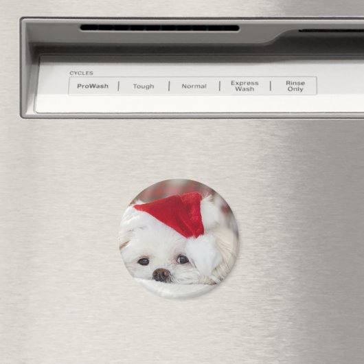 Cute White Dog in een Rode Kerstmis Pet Magneet (Insitu (Vaatwasser))
