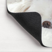 Cute White Dog in een Rode Kerstmis Pet Muismat (Hoek)