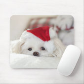 Cute White Dog in een Rode Kerstmis Pet Muismat (Met muis)