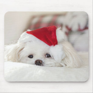 Cute White Dog in een Rode Kerstmis Pet Muismat