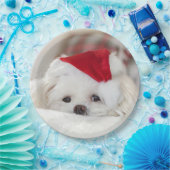 Cute White Dog in een Rode Kerstmis Pet Papieren Bordje (Feest)