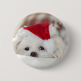 Cute White Dog in een Rode Kerstmis Pet Ronde Button 5,7 Cm