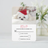 Cute White Dog in een Rode Kerstmis Pet RSVP Kaartje (Staand voorkant)