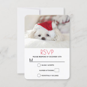 Cute White Dog in een Rode Kerstmis Pet RSVP Kaartje