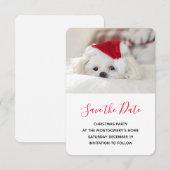 Cute White Dog in een Rode Kerstmis Pet Save The Date (Voorkant / Achterkant)