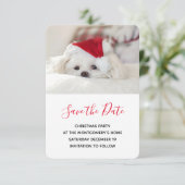 Cute White Dog in een Rode Kerstmis Pet Save The Date (Staand voorkant)