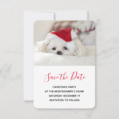 Cute White Dog in een Rode Kerstmis Pet Save The Date (Voorkant)