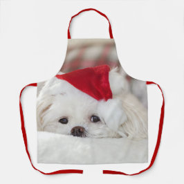 Cute White Dog in een Rode Kerstmis Pet Schort