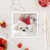 Cute White Dog in een Rode Kerstmis Pet Servet (Insitu)