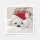 Cute White Dog in een Rode Kerstmis Pet Servet (Voorkant)