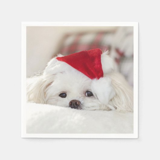 Cute White Dog in een Rode Kerstmis Pet Servet (Voorkant)