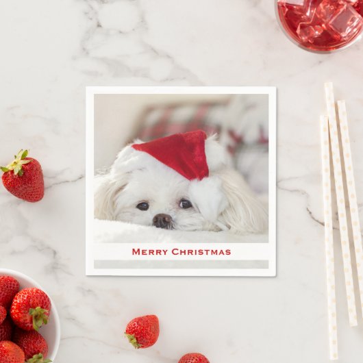 Cute White Dog in een Rode Kerstmis Pet Servet (Insitu)