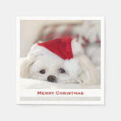 Cute White Dog in een Rode Kerstmis Pet Servet (Voorkant)