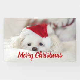 Cute White Dog in een Rode Kerstmis Pet Spandoek