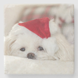 Cute White Dog in een Rode Kerstmis Pet Stenen Onderzetter