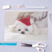 Cute White Dog in een Rode Kerstmis Pet Tissuepapier (Craft)