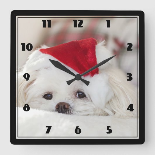Cute White Dog in een Rode Kerstmis Pet Vierkante Klok (Voorkant)