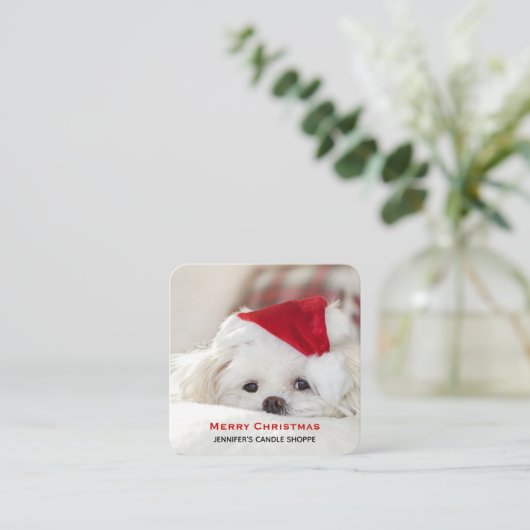 Cute White Dog in een Rode Kerstmis Pet Vierkante Visitekaartje (Staand voorkant)