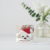 Cute White Dog in een Rode Kerstmis Pet Vierkante Visitekaartje (Staand voorkant)