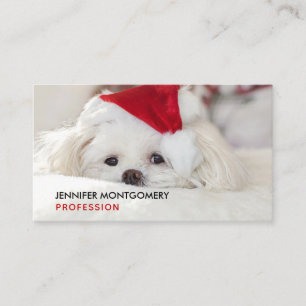 Cute White Dog in een Rode Kerstmis Pet Visitekaartje