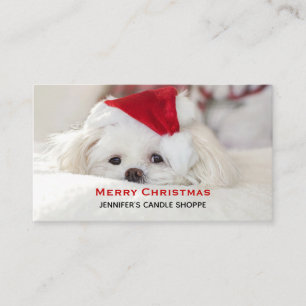 Cute White Dog in een Rode Kerstmis Pet Visitekaartje