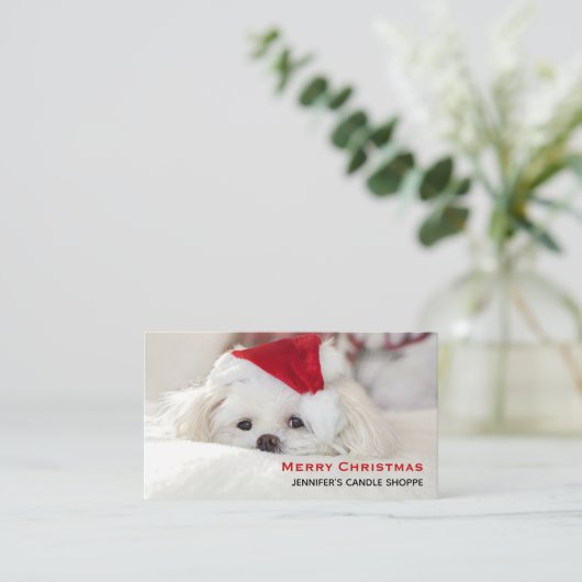 Cute White Dog in een Rode Kerstmis Pet Visitekaartje (Staand voorkant)