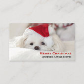 Cute White Dog in een Rode Kerstmis Pet Visitekaartje (Voorkant)