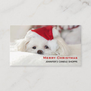 Cute White Dog in een Rode Kerstmis Pet Visitekaartje