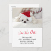 Cute White Dog in Red Kerstmis Pet Save the Date Uitnodiging Briefkaart (Voorkant / Achterkant)
