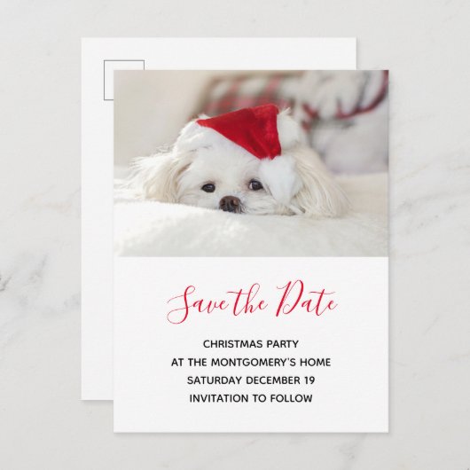 Cute White Dog in Red Kerstmis Pet Save the Date Uitnodiging Briefkaart (Voorkant / Achterkant)