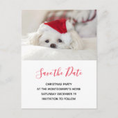 Cute White Dog in Red Kerstmis Pet Save the Date Uitnodiging Briefkaart (Voorkant)