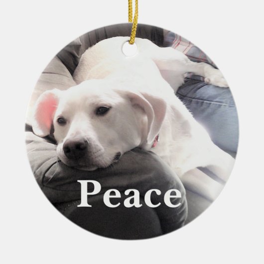 Cute White Dog Peace Keramisch Ornament (Voorkant)