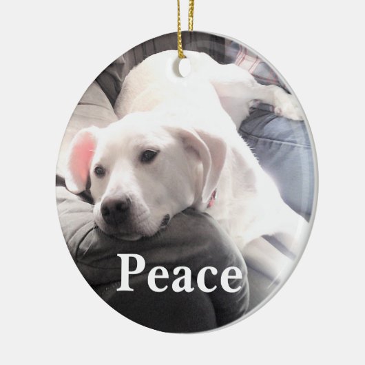 Cute White Dog Peace Keramisch Ornament (Links)