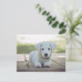 cute white dog puppy briefkaart (Staand voorkant)
