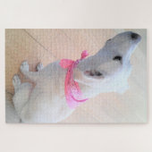 Cute White Dog Wearing Pink Scarf Legpuzzel (Horizontaal)