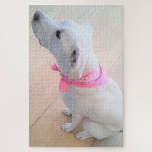 Cute White Dog Wearing Pink Scarf Legpuzzel