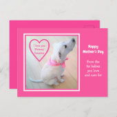 Cute White Dog Wearing Pink Scarf Moederdag Briefkaart (Voorkant / Achterkant)