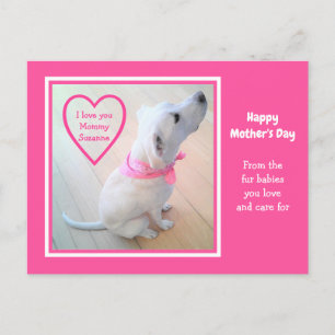 Cute White Dog Wearing Pink Scarf Moederdag Briefkaart