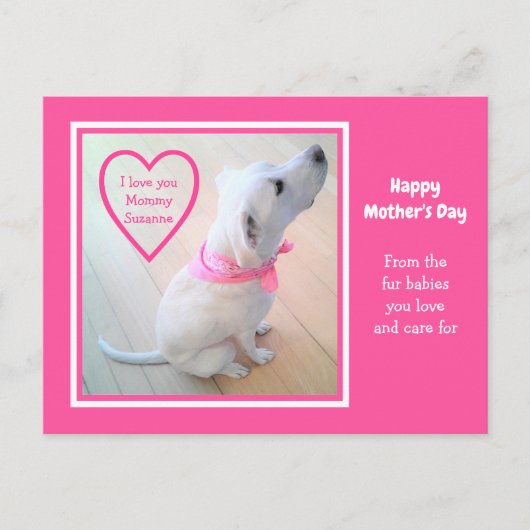 Cute White Dog Wearing Pink Scarf Moederdag Briefkaart (Voorkant)